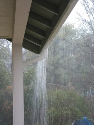 Overflowing gutters during downpour