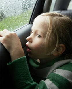 Metal Roofing - Brisbane - Lightning child window