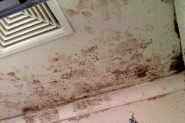 Dark mould on surface of ceiling and walls