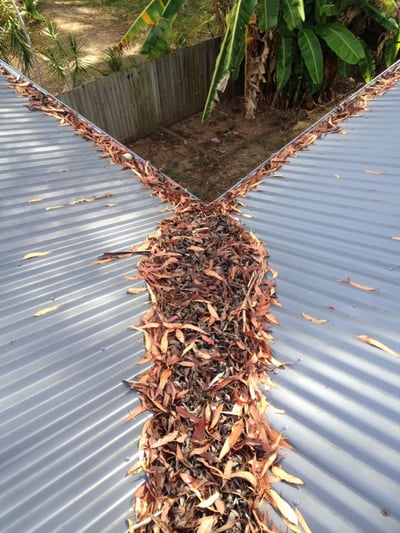 Excessive leaf built up in roof valley and gutters